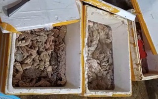 Phát hiện kho hàng tại Đà Nẵng chứa 3,5 tấn thịt, nội tạng bốc mùi đổi màu
